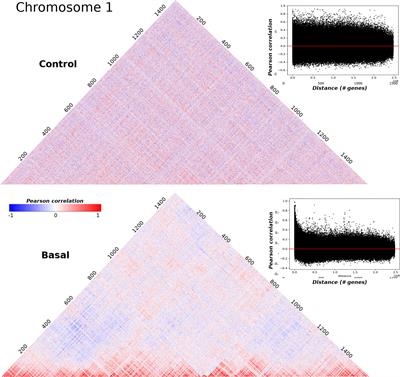 Gene Co-Expression in Breast Cancer: A Matter of Distance